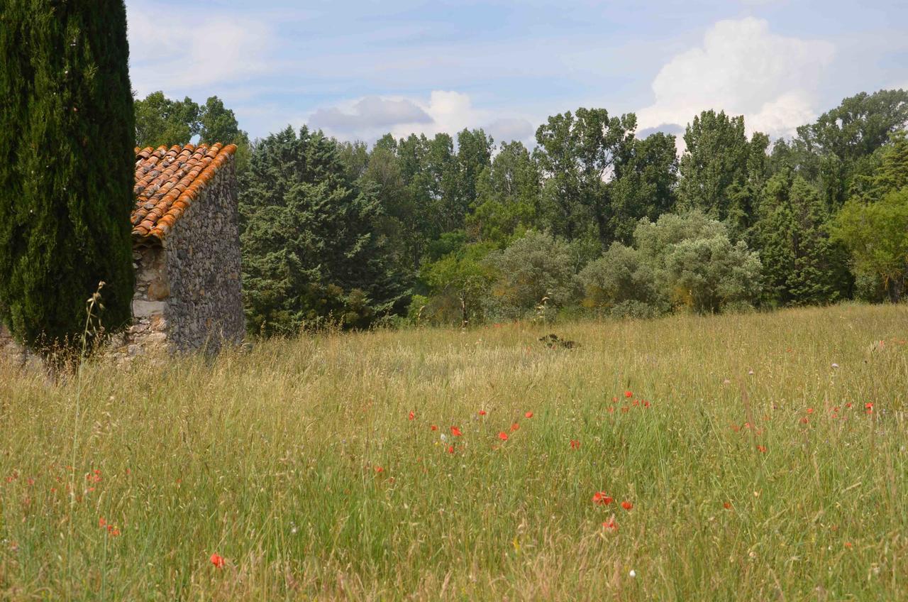 Domaine Shambala - Maison D'Hote En Provence - Piscine Chauffee Velaux Exterior foto